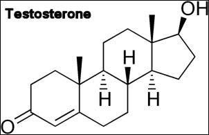 testosterone-structure.jpg